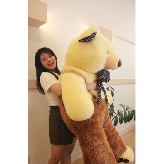 Boneka Beruang Jumbo Teddy Bear Giant SNI 1,2 Meter