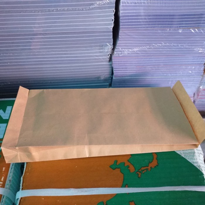 

Hemat Amplop Coklat Kabinet Pinggul - 14 X 24 X 3 Cm - Bhg Bagus