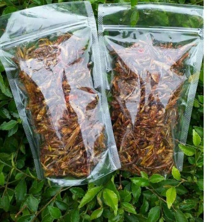 

ニ BELALANG GORENG/WALANG GORENG BEST SELLER standing pouch KEMASAN 40GR BEST PRICE 93 ✯