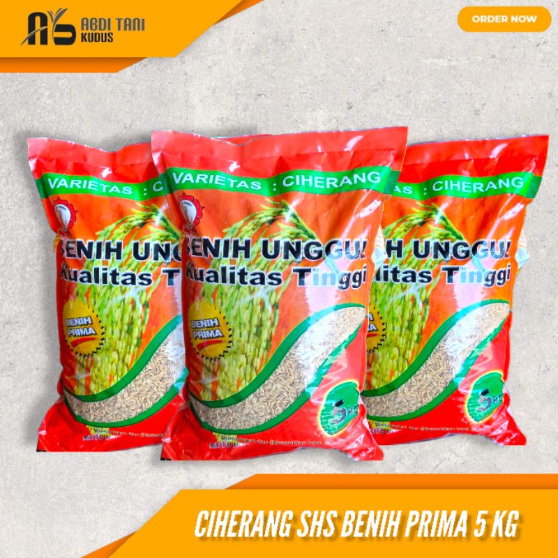 BENIH PADI CIHERANG SHS BENIH PRIMA SANG HYANG SERI BENIH PADI UNGGUL KUALITAS