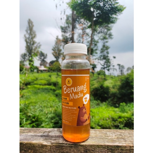 

Madu Murni Asli Beruang Madu 300 gram Grade A Nektar Multiflora 100% Alami Pure Natural Raw Honey