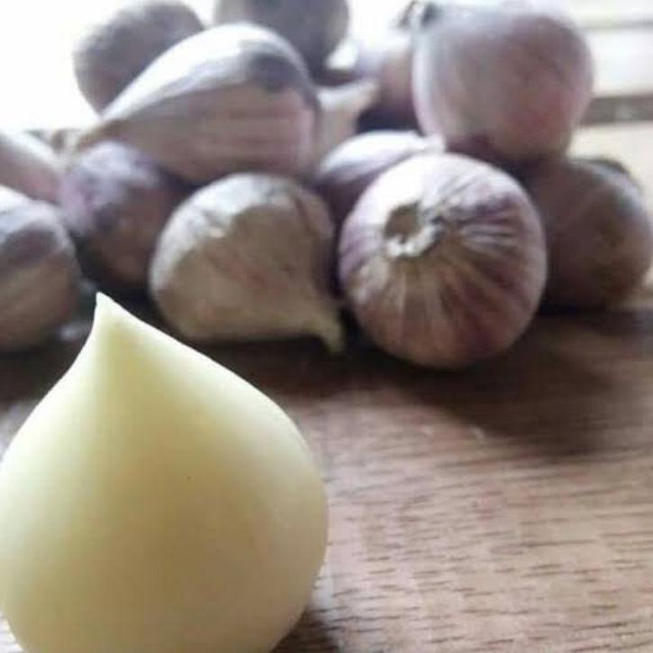 

idX3j3I--BAWANG putih tunggal KUPAS (BESAR) 1KG