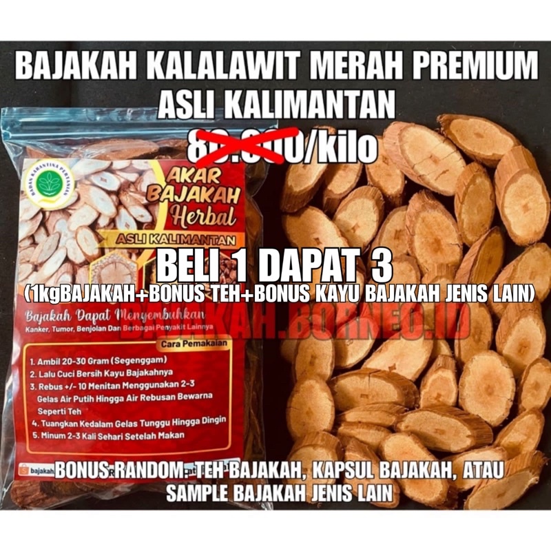 

BAJAKAH KALALAWIT MERAH PREMIUM SATU KILO ASLI KALIMANTAN OBAT KANKER TUMOR BENJOLAN DLL