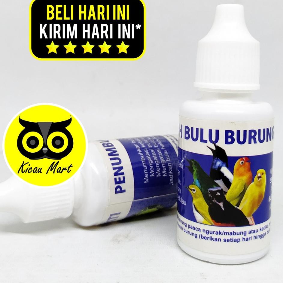 PENUMBUH BULU BURUNG SEMPATI OBAT CABUT BULU RONTOK KUSAM BOTAK UNTUK MURAI KACER LOVEBIRD OBNUMBUH 