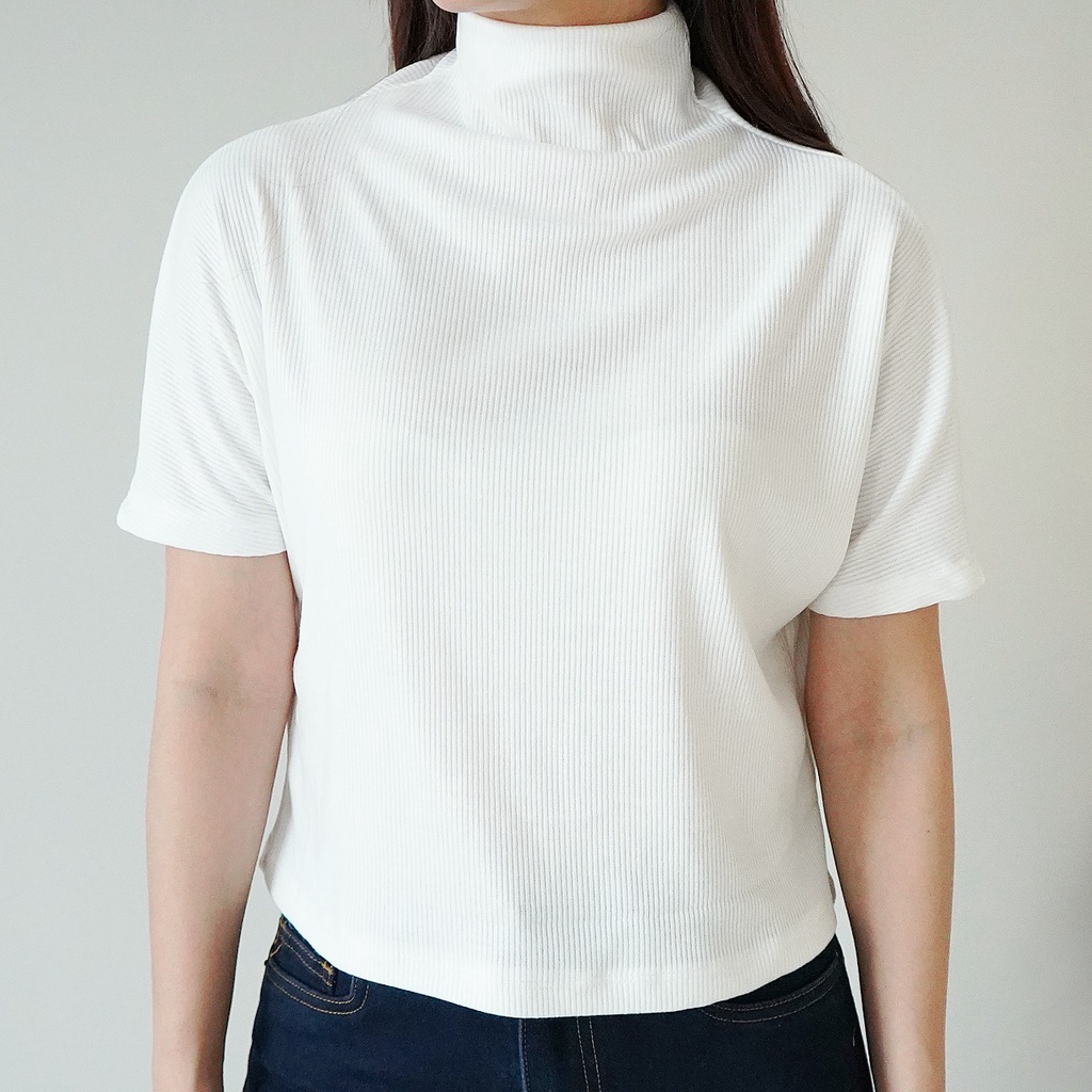 Korean Basic Crop Top Baju Atasan Wanita Turtle Neck Basic Top 100