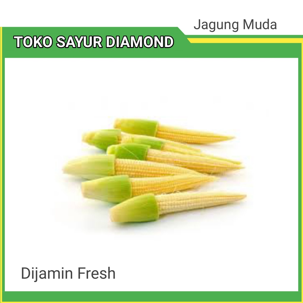 

Jagung Muda Putren 100 Gram - Diamond Palembang
