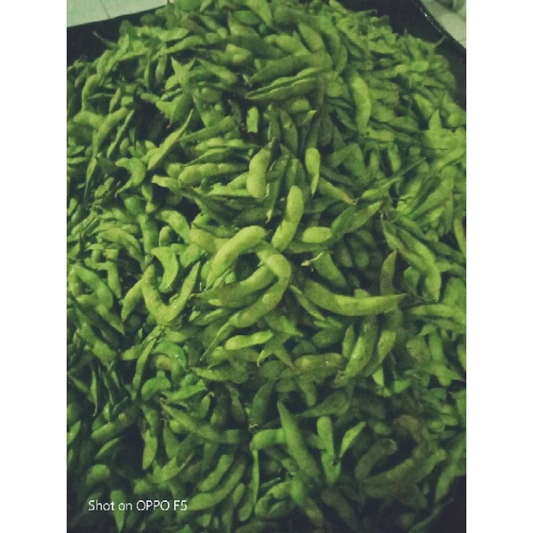 

Edamame kedelai jepang fresh