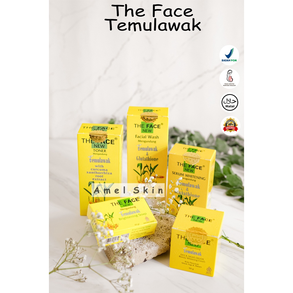 The Face Temulawak Paket B 5 in1 I Cream Brightening I Paket Wajah Susah Putih I Berjerawat I Cream 