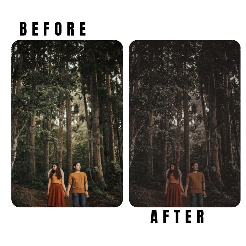 10 Lightroom Preset Wildsoul IOS/Android and Dekstop