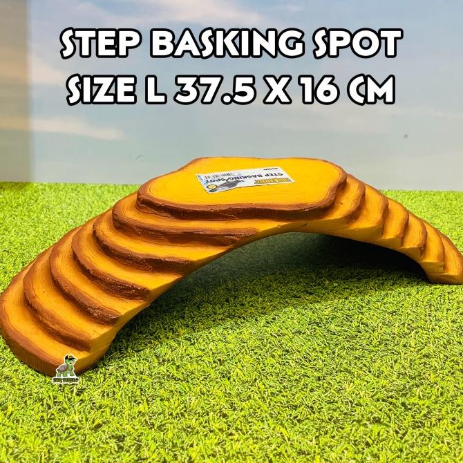 STEP BASKING SIZE L TANGKRINGAN KURA AIR KURA DARAT SULCATA BABY KADAL
