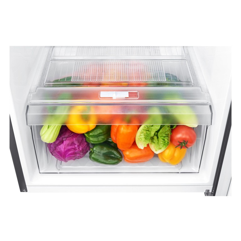 KULKAS LG GN-B 200 / 215 SQMT LEMARI ES 2 PINTU GN-B200/215SQMT INVERTER
