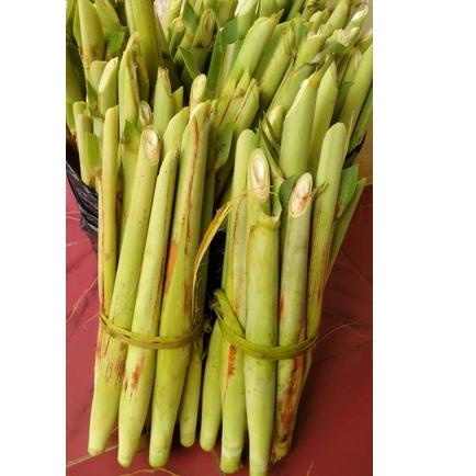 

(tkdz -6) Terubuk / Tebu telur Murah Berat1Kg 894ZKXH