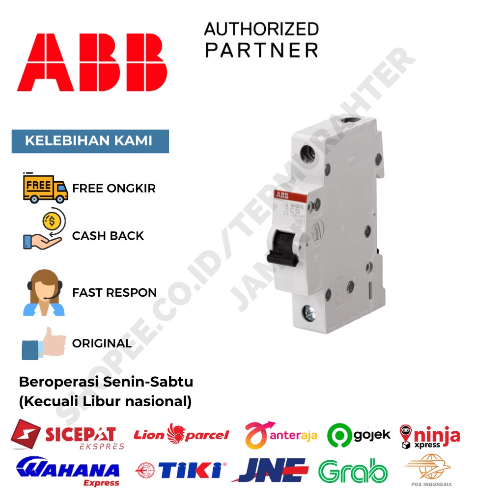 ABB MCB SH 201 L-C2 4.5kA SH201L 2A 2 Ampere Miniature Circuit Breaker