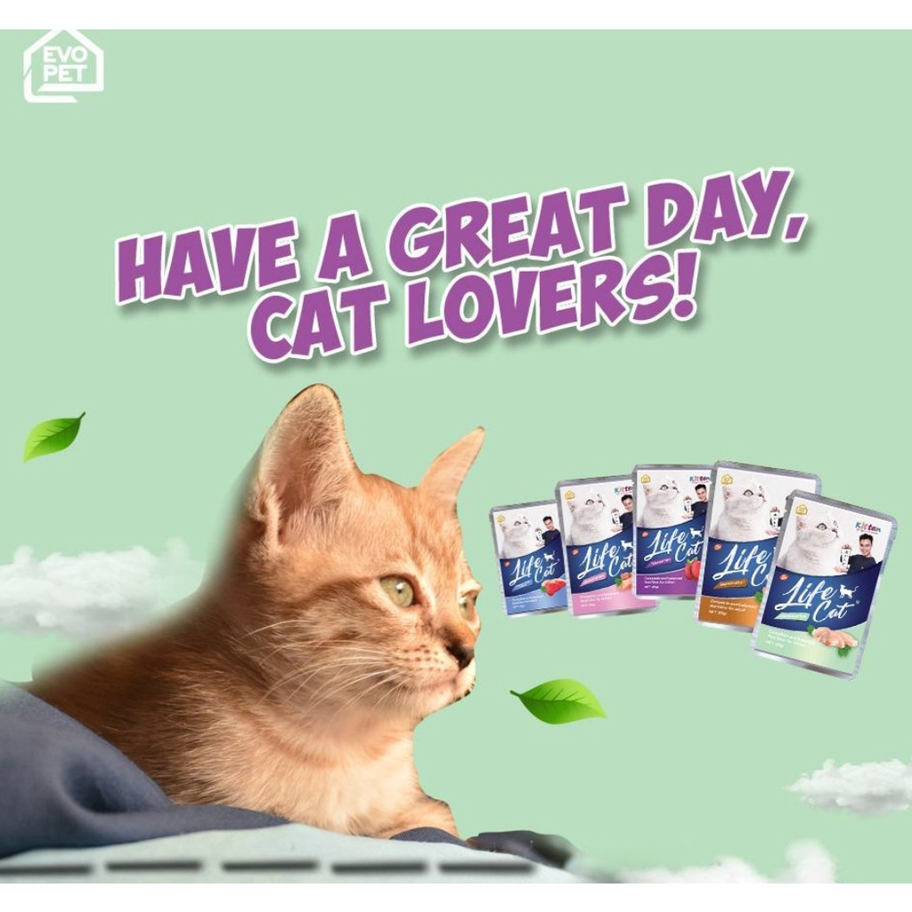 Life Cat Sachet Makanan Kucing Basah 85gr