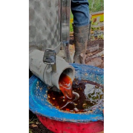 

Madu Akasia Carva murni 100%