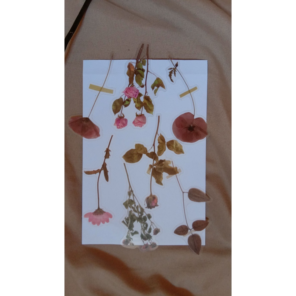 

DEKORASI BUKU JOURNAL BUNGA TRANSPARANT | TRANSPARANT FLOWERS DECORATION