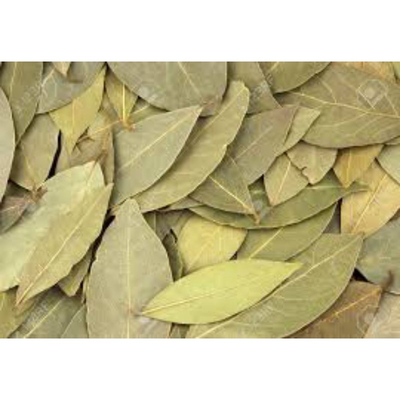 

Daun Salam