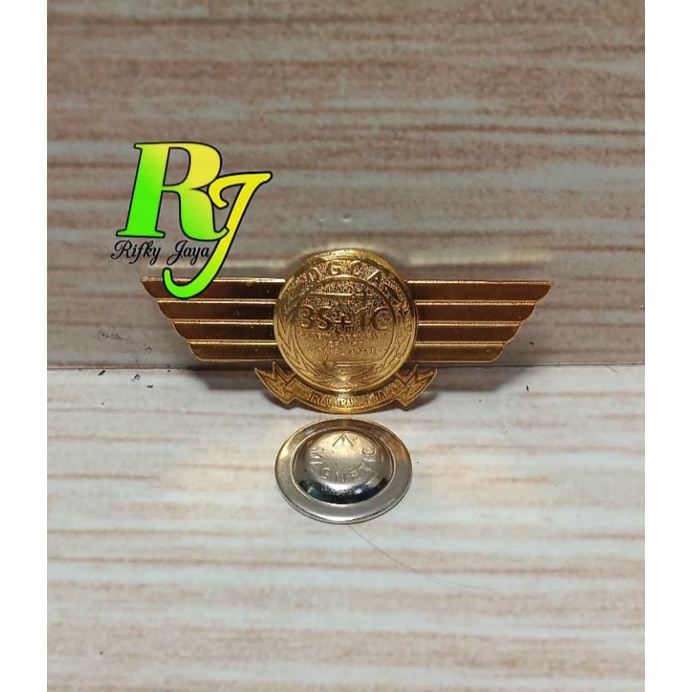 pin DGCA/lencana DGCA magnet