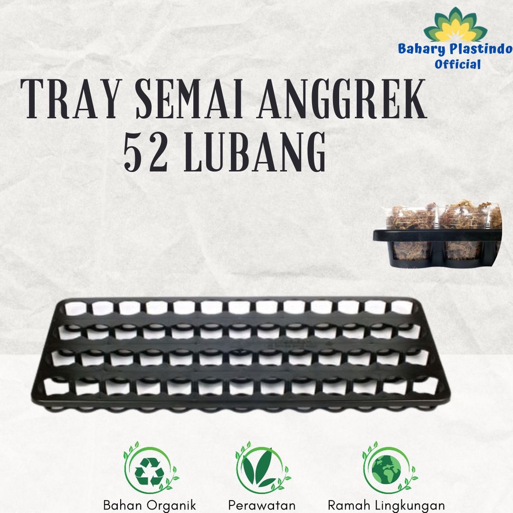 Tray Semai Isi 52 Bibit Anggrek Untuk Pot Flexible Anggrek