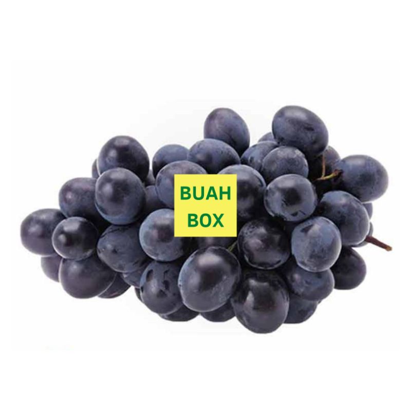 

Buah Anggur Hitam Black Autumn Royal USA Seedless Tanpa Biji Manis