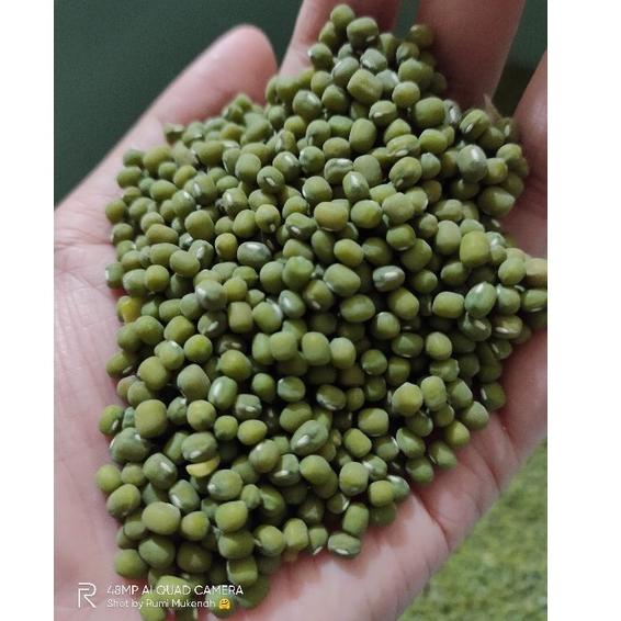 

READY {COD} KACANG HIJAU 1KG დ 891