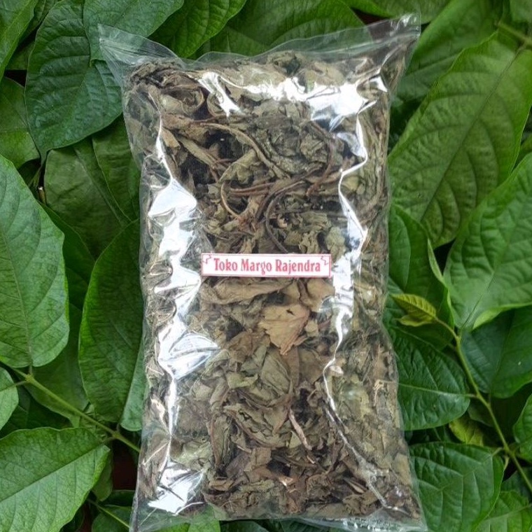 

Daun Afrika Kering isi 1kg