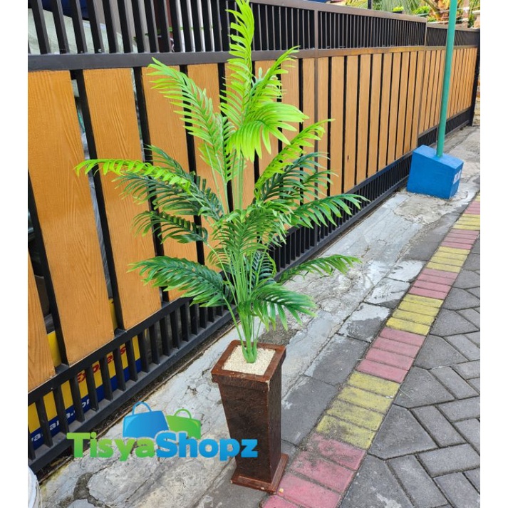 Pohon Palm Pakis Tinggi 1,25 METER ( Tanpa Pot )