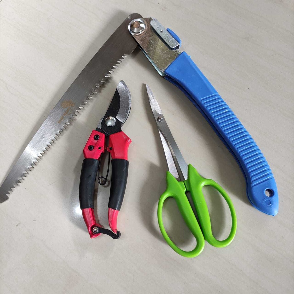 Paket Murah Peralatan Bonsai Tanaman Gunting Ranting, Gunting Pruning Daun, Gergaji Lipat Bonsai, Set Alat Bonsai Tanaman Komplit Gunting Dahan