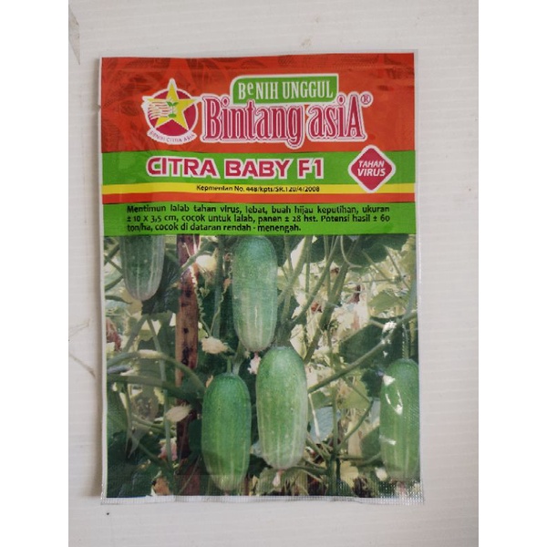 BENIH TIMUN KECIL CITRA BABY - BIBIT MENTIMUN UNYIL/BABY BINTANG ASIA
