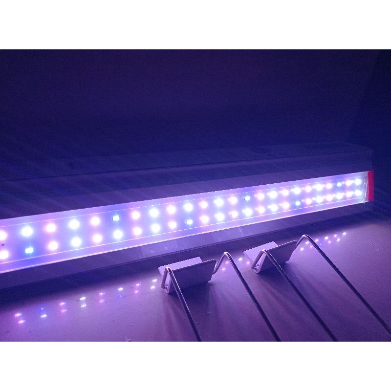 PROMO MURAH LAMPU LED AQUARIUM aquascape arwana HIKARI P 50LED 3X