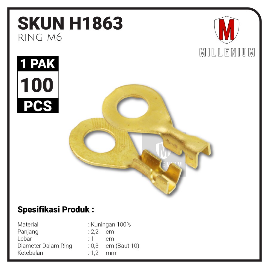 TERMINAL SKUN BULAT RING M6 / SKUN BULAT AKI M6 - 300 / PAKET 100PCS