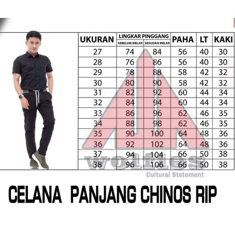 celana chinos panjang pria original premium