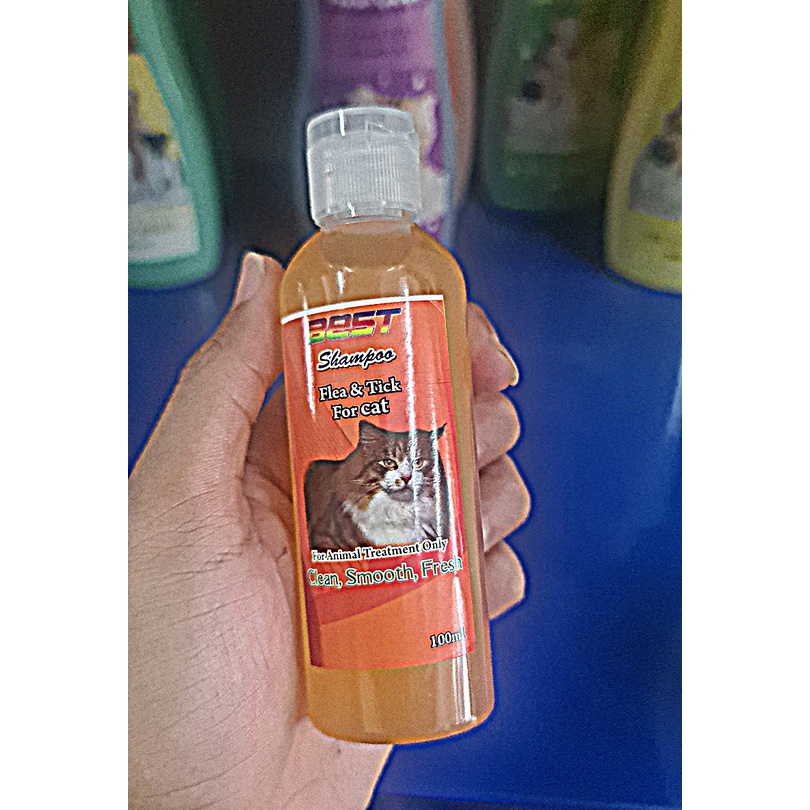 Shampoo Kutu Kucing 100 ml Best Termurah