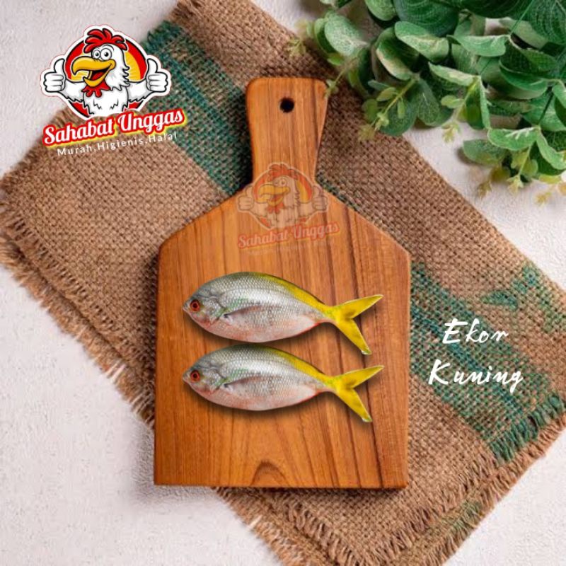 

Ikan Ekor Kuning 500gr