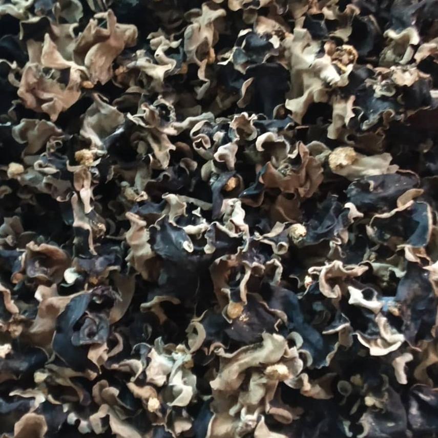 

EXCLUSIVE!JAMUR KUPING KERING 1 KG GRADE A|KD7