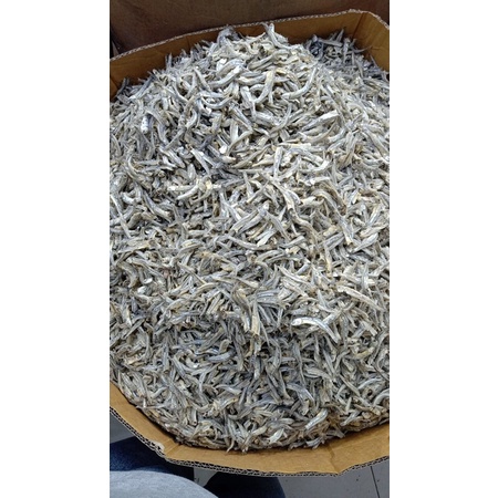 

Ikan teri Medan (teri kacang) 1 Kg