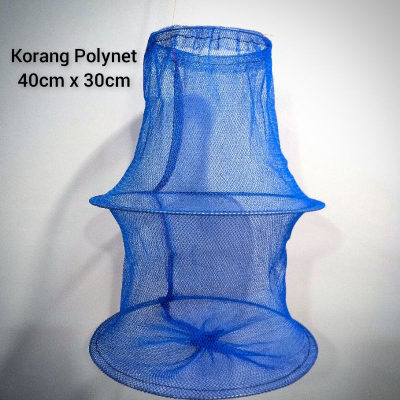 Korang Ikan Koja Ikan korang serut korang lumut