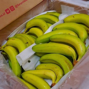 

Pisang Cavendish Banana Sunpride Satuan Pasangan 1 dus 13 kg OJOL & PESAN SEHARI SEBELOM