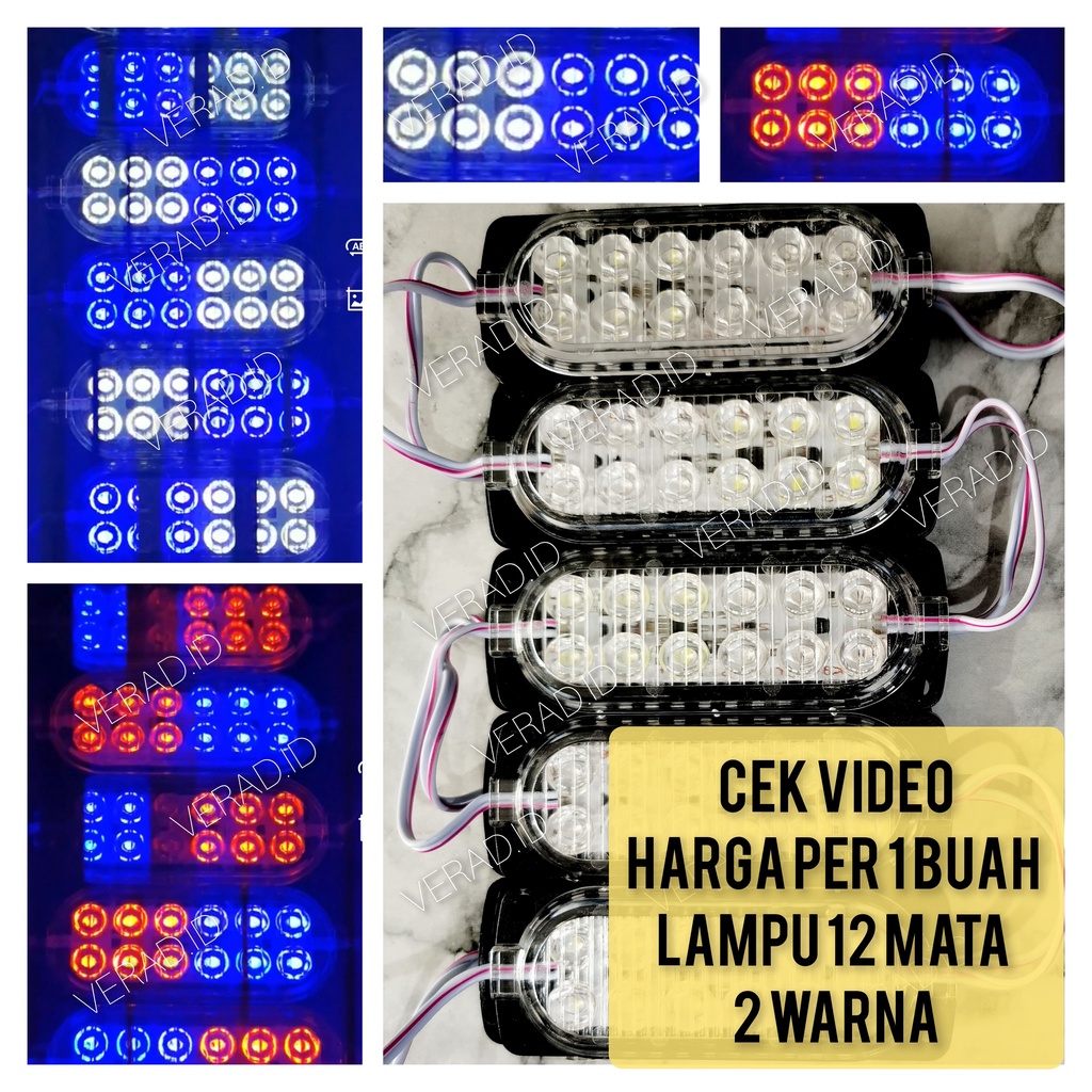 LAMPU 12 MATA ULTRASONIC KEDIP 2 WARNA 12VOLT 24VOLT 12V 24V