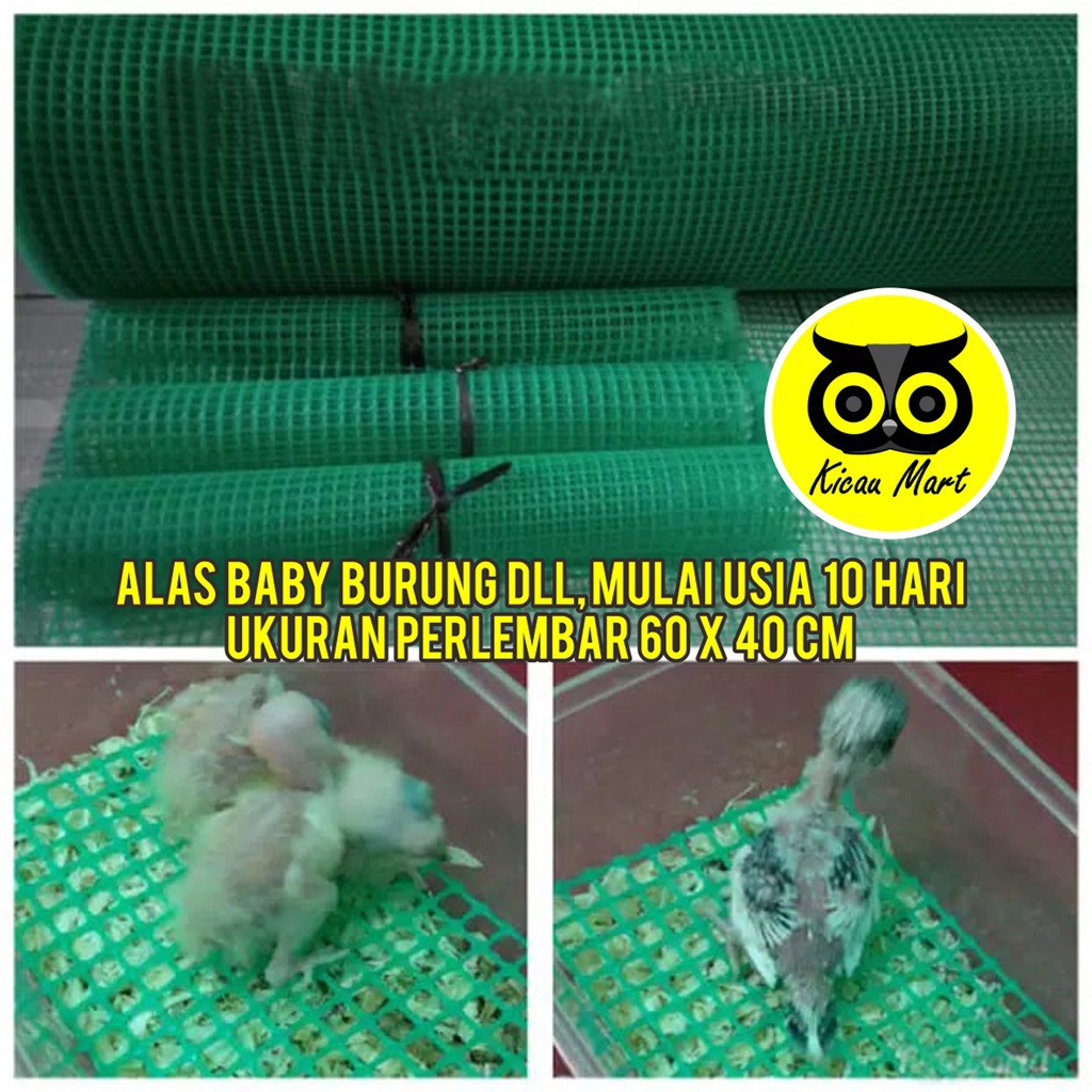 ALAS KANDANG KARPET SEMPATI SANGKAR UMBARAN BURUNG PIYIK PLASTIK HDPE 60X40CM ALAS KANDANG KUCING ANJING JRSUM