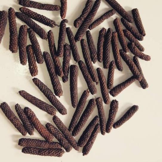 

Diskon✔️Cabe Jamu / Cabe Jawa / Cabe Puyang Kualitas Super Harga Murah|RA3