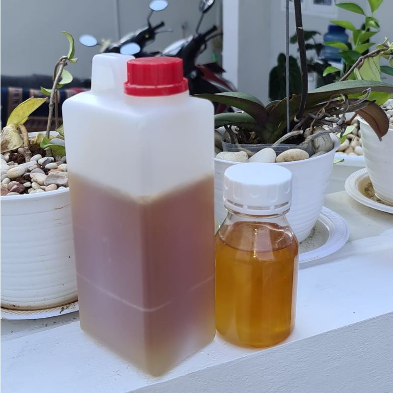 

madu kelengkeng curah 1kg