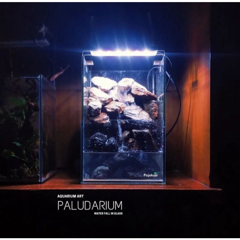 Paludarium Mini Tebing Air terjun Fullset Natural