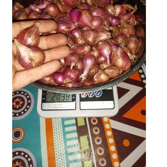 

Ready Stok Bawang Merah Brebes 500 Gram murah