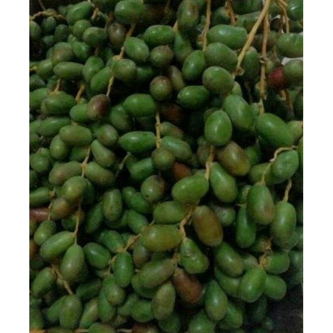 

ajwa hijau