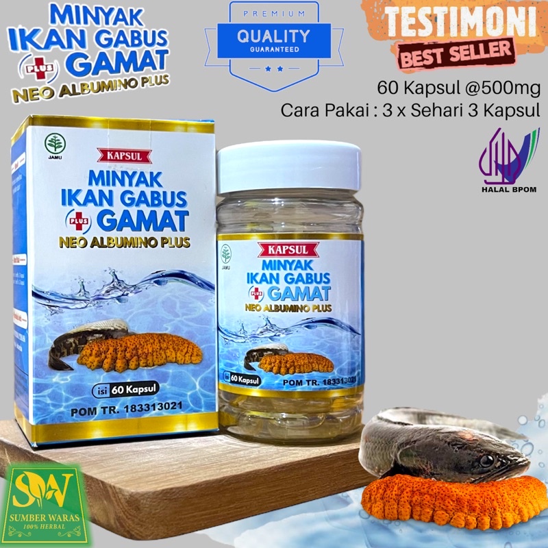 Jual Kapsul Minyak Ikan Gabus Plus Gamat Emas NEO ALBUMINO BPOM Isi 60 ...