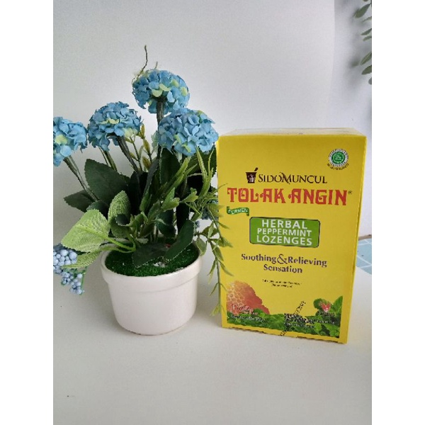 

Sido muncul Permen tolak angin box isi 15 sachet