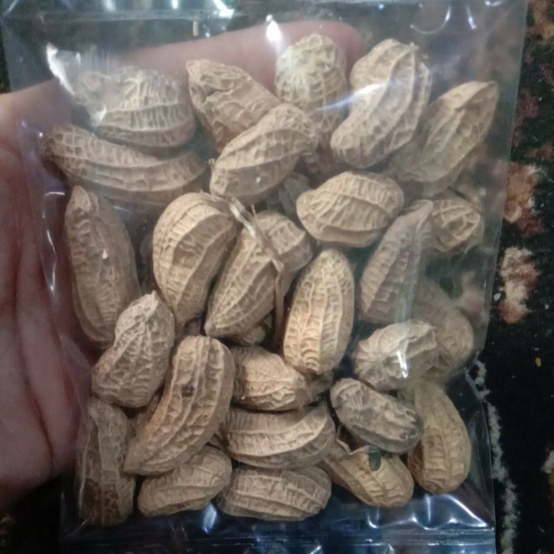 

KACANG TANAH