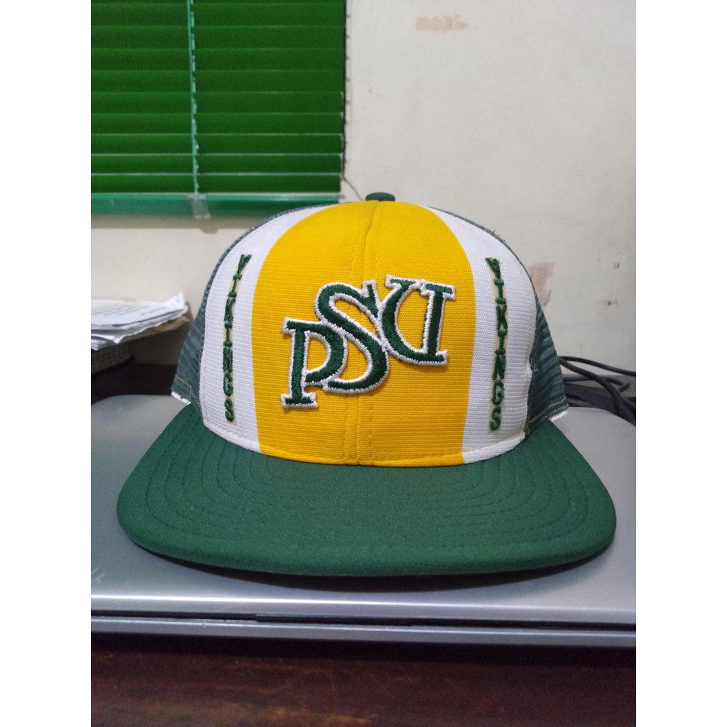 Topi AJD PSV  Vikings