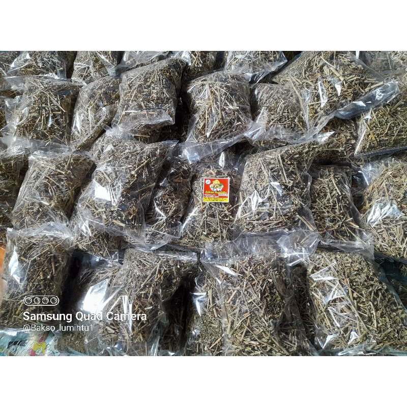 

KATEMAS kering , 100 gram kate mas original* /suduk mentul / daun sena
